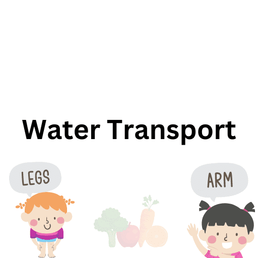 Water Transport